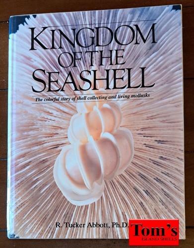Kingdom the seashell 1993 - the, seashell:
