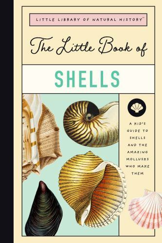 The little book shells a - book,